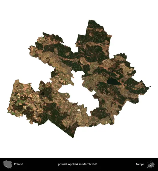 powiat opolski. Polonya idari bölgesi, Mart 2022 'de çekilen Kopernik Nöbetçi karolarından oluşan bir uydu görüntüsü üzerinde beyaza izole edildi.