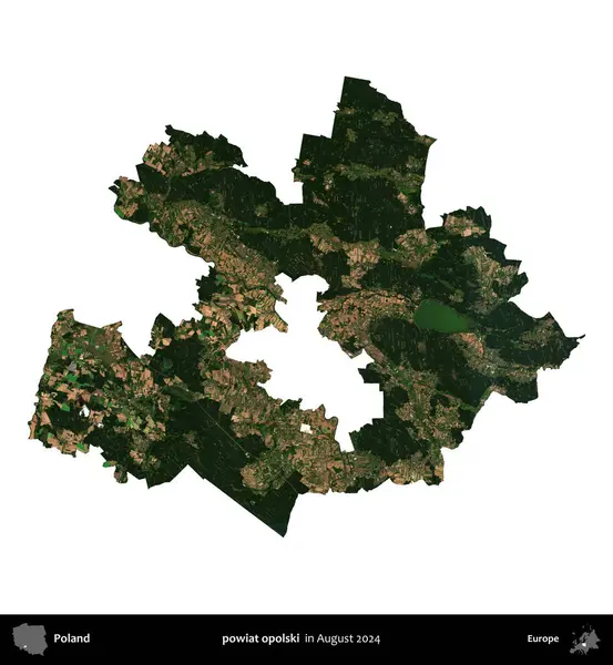 powiat opolski. Polonya idari bölgesi, Ağustos 2024 'te çekilen Kopernik Nöbetçi karolarından oluşan bir uydu görüntüsü üzerinde beyaza izole edildi.