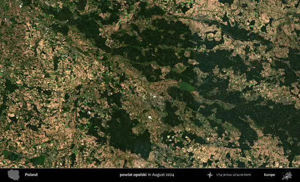 powiat opolski. Copernicus Sentinel 'in Ağustos 2024' te çekilmiş uydu görüntüsü üzerine Polonya 'nın idari bölgesi