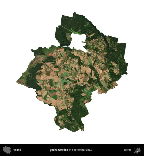gmina Ostroda. Polonya idari bölgesi, Eylül 2024 'te çekilen Kopernik Nöbetçi karolarından oluşan bir uydu görüntüsü üzerinde beyaza izole edildi.