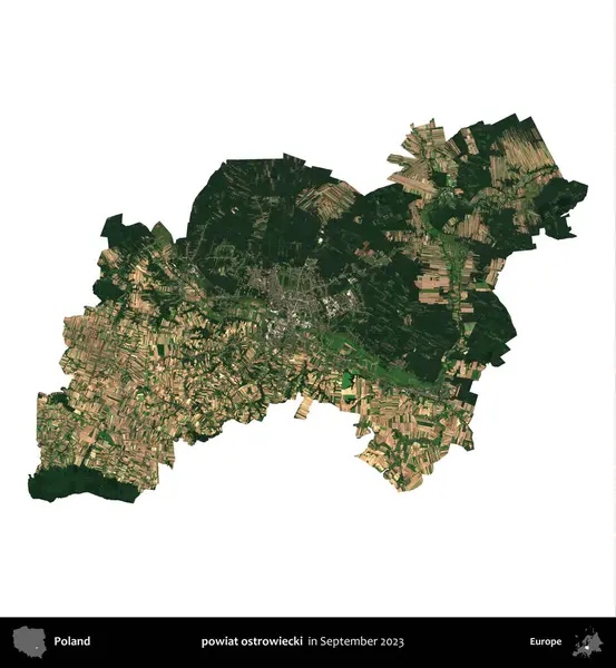 powiat ostrowiecki. Polonya idari bölgesi, Eylül 2023 'te çekilen Kopernik Nöbetçi karolarından oluşan bir uydu görüntüsü üzerinde beyaza izole edildi.