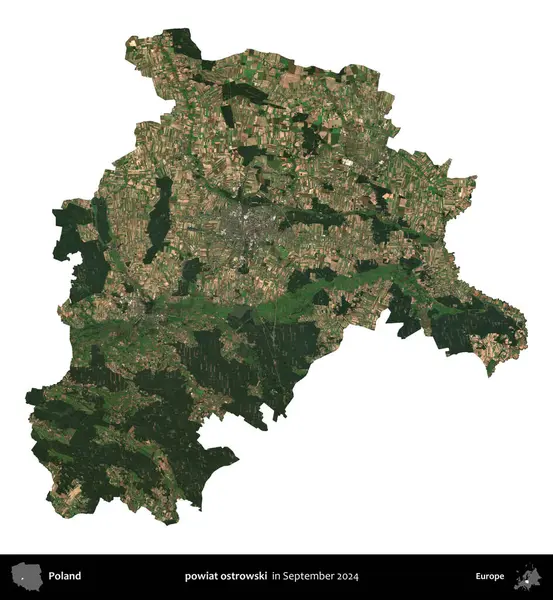 powiat ostrowski. Polonya idari bölgesi, Eylül 2024 'te çekilen Kopernik Nöbetçi karolarından oluşan bir uydu görüntüsü üzerinde beyaza izole edildi.