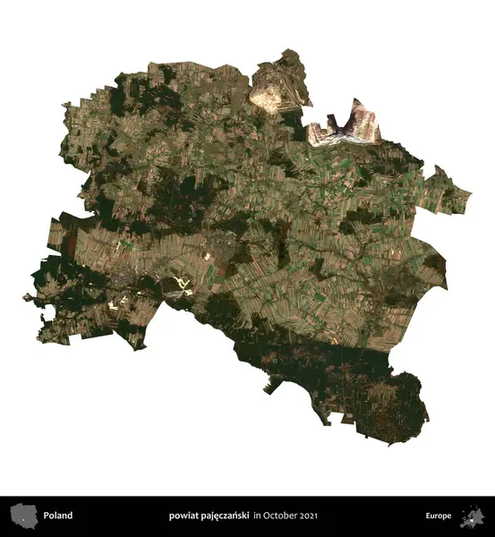 powiat pajeczanski. Polonya idari bölgesi, Ekim 2021 'de çekilen Kopernik Nöbetçi karolarından oluşan bir uydu görüntüsü üzerinde beyaza izole edildi.
