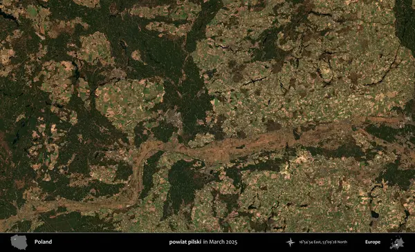 powiat pilski. Copernicus Sentinel 'in Mart 2025' te çekilmiş uydu görüntüsü üzerine Polonya 'nın idari bölgesi
