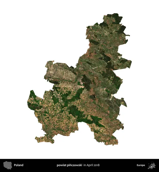 powiat pinczowski. Polonya idari bölgesi, Nisan 2018 'de çekilen Kopernik Nöbetçi karolarından oluşan bir uydu görüntüsü üzerinde beyaza izole edildi.