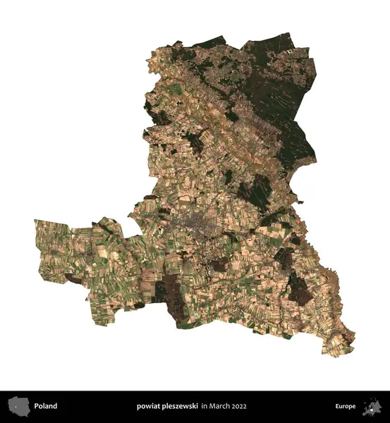 powiat pleszewski. Polonya idari bölgesi, Mart 2022 'de çekilen Kopernik Nöbetçi karolarından oluşan bir uydu görüntüsü üzerinde beyaza izole edildi.