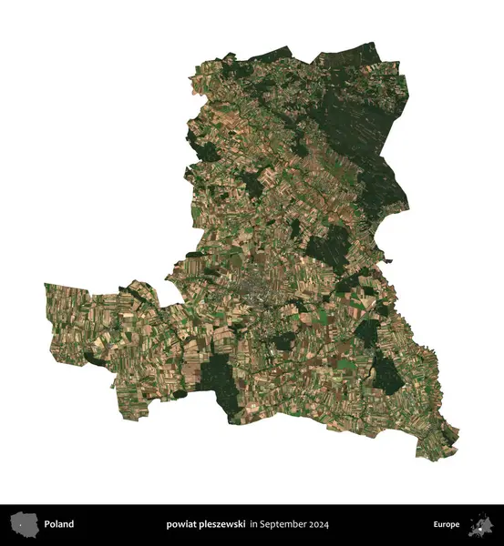 powiat pleszewski. Polonya idari bölgesi, Eylül 2024 'te çekilen Kopernik Nöbetçi karolarından oluşan bir uydu görüntüsü üzerinde beyaza izole edildi.