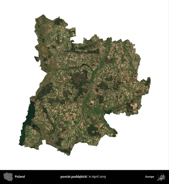 powiat poddebicki. Polonya idari bölgesi, Nisan 2019 'da çekilen Kopernik Nöbetçi karolarından oluşan bir uydu görüntüsü üzerinde beyaza izole edildi.