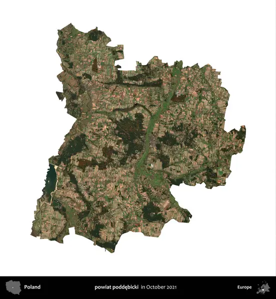 powiat poddebicki. Polonya idari bölgesi, Ekim 2021 'de çekilen Kopernik Nöbetçi karolarından oluşan bir uydu görüntüsü üzerinde beyaza izole edildi.
