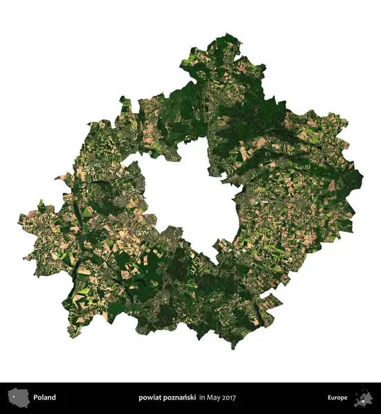 powiat poznanski. Polonya idari bölgesi, Mayıs 2017 'de çekilen Kopernik Nöbetçi karolarından oluşan bir uydu görüntüsü üzerinde beyaza izole edildi.