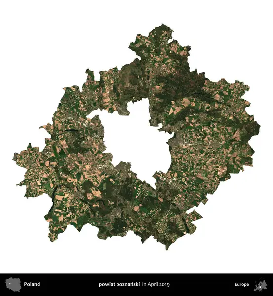 powiat poznanski. Polonya idari bölgesi, Nisan 2019 'da çekilen Kopernik Nöbetçi karolarından oluşan bir uydu görüntüsü üzerinde beyaza izole edildi.