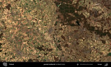 powiat raciborski. Copernicus Sentinel 'in Mart 2022' de çekilmiş uydu görüntüsü üzerine Polonya 'nın idari bölgesi.