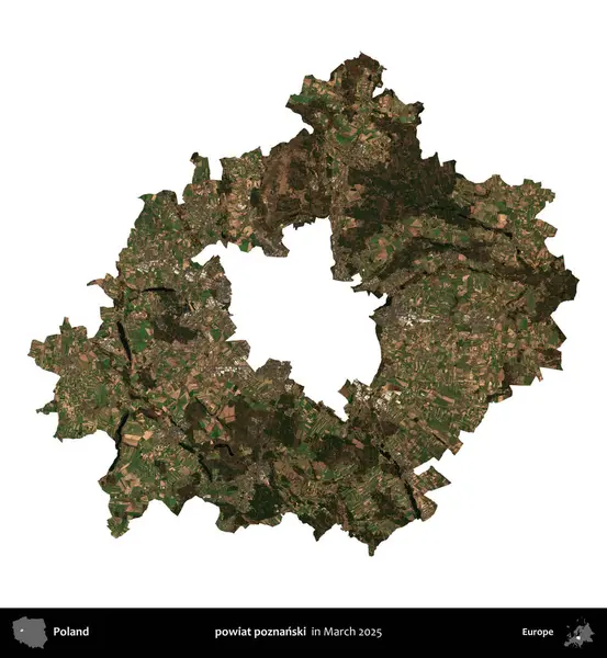 powiat poznanski. Polonya idari bölgesi, Mart 2025 'te çekilen Kopernik Nöbetçi karolarından oluşan bir uydu görüntüsü üzerinde beyaza izole edildi.
