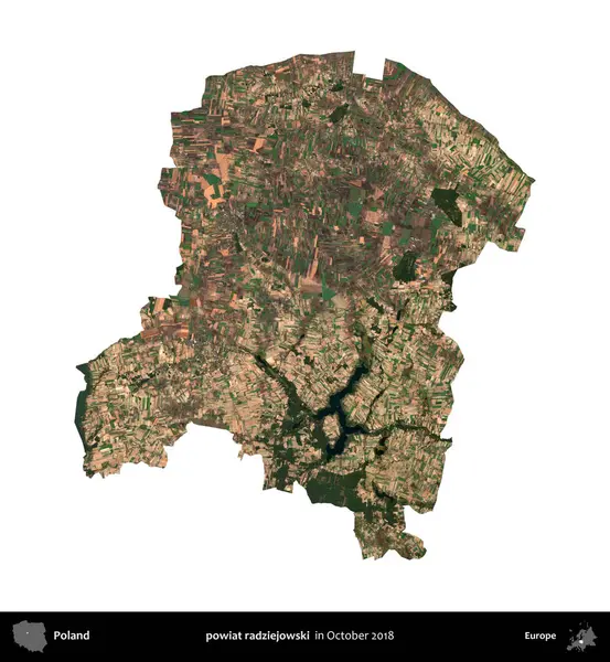 powiat radziejowski. Polonya idari bölgesi, Ekim 2018 'de çekilen Kopernik Nöbetçi karolarından oluşan bir uydu görüntüsü üzerinde beyaza izole edildi.
