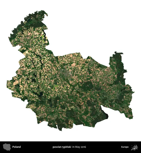 powiat rypinski. Polonya idari bölgesi, Mayıs 2016 'da çekilen Kopernik Nöbetçi karolarından oluşan uydu görüntüsü üzerinde beyaza izole edildi