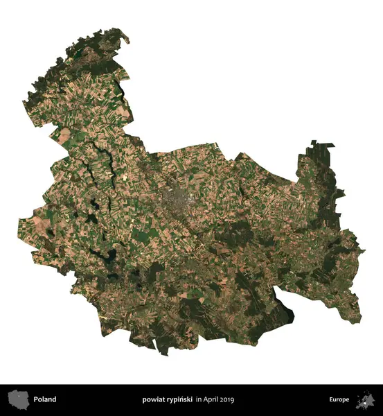 powiat rypinski. Polonya idari bölgesi, Nisan 2019 'da çekilen Kopernik Nöbetçi karolarından oluşan bir uydu görüntüsü üzerinde beyaza izole edildi.
