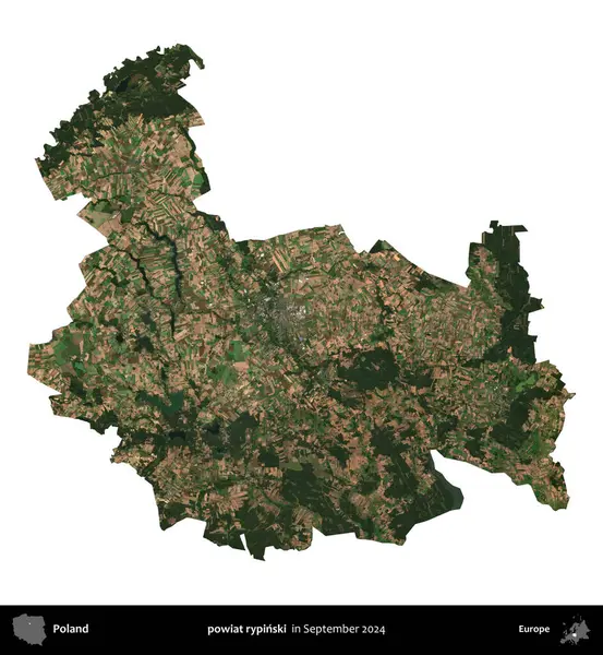 powiat rypinski. Polonya idari bölgesi, Eylül 2024 'te çekilen Kopernik Nöbetçi karolarından oluşan bir uydu görüntüsü üzerinde beyaza izole edildi.