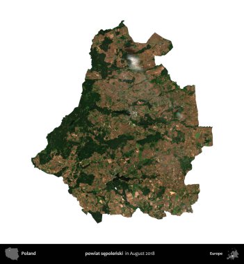 powiat sepolenski. Polonya idari bölgesi, Ağustos 2018 'de çekilen Kopernik Nöbetçi karolarından oluşan bir uydu görüntüsü üzerinde beyaza izole edildi.