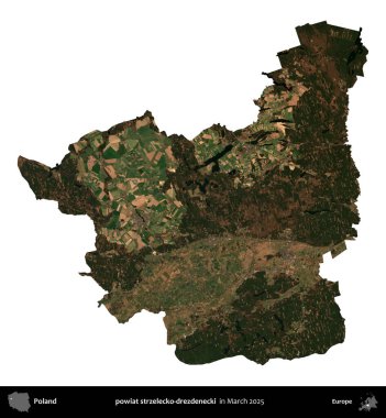 powiat strzelecko-drezdenecki. Polonya idari bölgesi, Mart 2025 'te çekilen Kopernik Nöbetçi karolarından oluşan bir uydu görüntüsü üzerinde beyaza izole edildi.