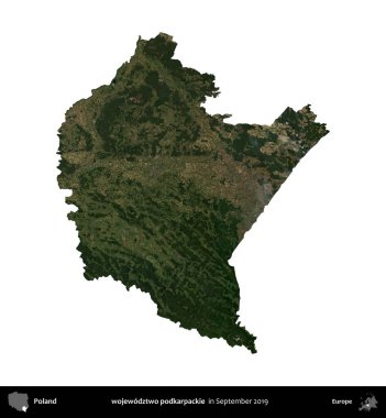 wojewodz2 podkarpackie. Polonya idari bölgesi, Eylül 2019 'da çekilen Kopernik Nöbetçi karolarından oluşan bir uydu görüntüsü üzerinde beyaza izole edildi.