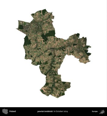 powiat swidnicki. Polonya idari bölgesi, Ekim 2024 'te çekilen Kopernik Nöbetçi karolarından oluşan bir uydu görüntüsü üzerinde beyaza izole edildi.