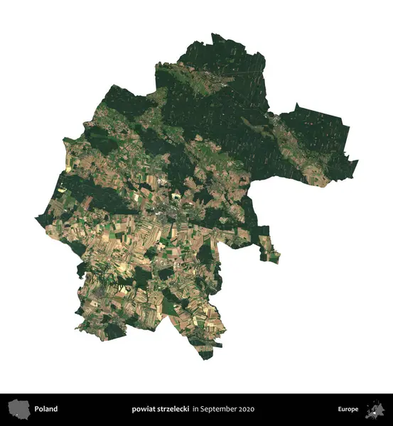 powiat strzelecki. Polonya idari bölgesi, Eylül 2020 'de çekilen Kopernik Nöbetçi karolarından oluşan bir uydu görüntüsü üzerinde beyaza izole edildi.