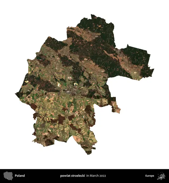 powiat strzelecki. Polonya idari bölgesi, Mart 2022 'de çekilen Kopernik Nöbetçi karolarından oluşan bir uydu görüntüsü üzerinde beyaza izole edildi.