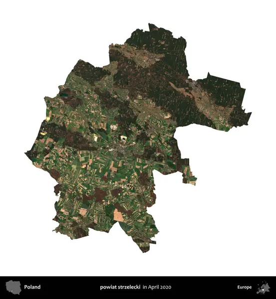 powiat strzelecki. Polonya idari bölgesi, Nisan 2020 'de çekilen Kopernik Nöbetçi karolarından oluşan bir uydu görüntüsü üzerinde beyaza izole edildi.