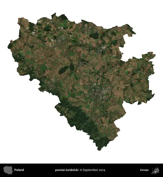 powiat swidnicki. Polonya idari bölgesi, Eylül 2024 'te çekilen Kopernik Nöbetçi karolarından oluşan bir uydu görüntüsü üzerinde beyaza izole edildi.