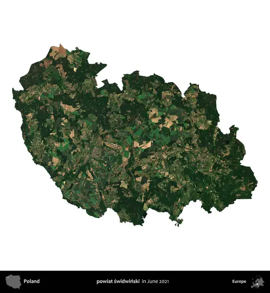 powiat swidwinski. Polonya idari bölgesi, Haziran 2021 'de çekilen Kopernik Nöbetçi karolarından oluşan bir uydu görüntüsü üzerinde beyaza izole edildi.