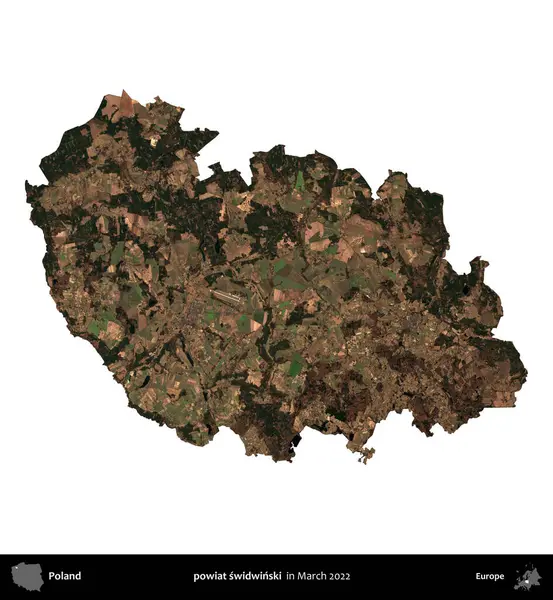 powiat swidwinski. Polonya idari bölgesi, Mart 2022 'de çekilen Kopernik Nöbetçi karolarından oluşan bir uydu görüntüsü üzerinde beyaza izole edildi.