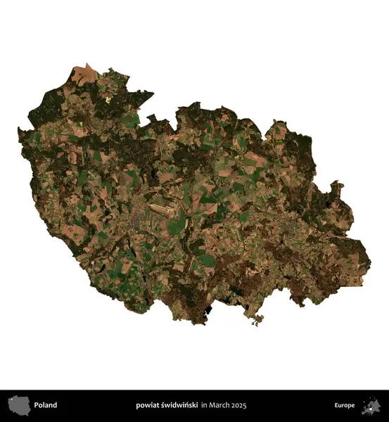 powiat swidwinski. Polonya idari bölgesi, Mart 2025 'te çekilen Kopernik Nöbetçi karolarından oluşan bir uydu görüntüsü üzerinde beyaza izole edildi.