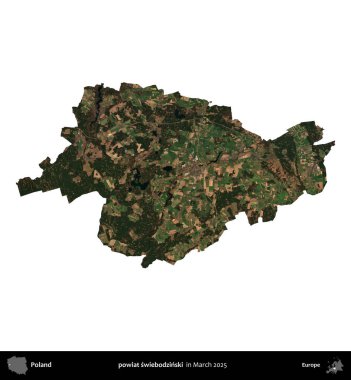 powiat swiebodzinski. Polonya idari bölgesi, Mart 2025 'te çekilen Kopernik Nöbetçi karolarından oluşan bir uydu görüntüsü üzerinde beyaza izole edildi.