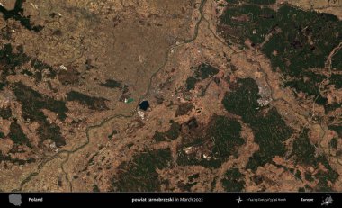 powiat tarnobrzeski. Copernicus Sentinel 'in Mart 2022' de çekilmiş uydu görüntüsü üzerine Polonya 'nın idari bölgesi.