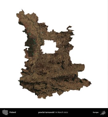 powiat tarnowski. Polonya idari bölgesi, Mart 2022 'de çekilen Kopernik Nöbetçi karolarından oluşan bir uydu görüntüsü üzerinde beyaza izole edildi.