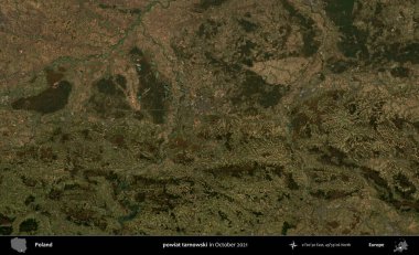 powiat tarnowski. Polonya 'nın idari bölgesi, Ekim 2021' de çekilen Kopernik Sentinel karolarından oluşan bir uydu görüntüsü üzerine kurulmuştur.
