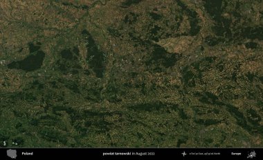 powiat tarnowski. Copernicus Sentinel 'in Ağustos 2022' de çekilmiş uydu görüntüsü üzerine Polonya 'nın idari bölgesi.
