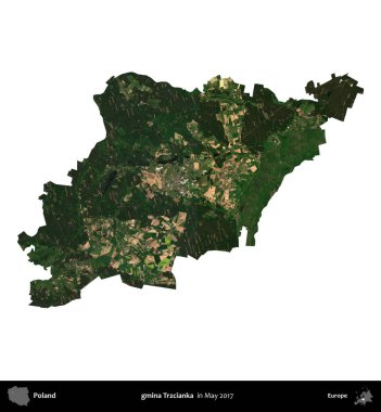 gmina Trzcianka. Polonya idari bölgesi, Mayıs 2017 'de çekilen Kopernik Nöbetçi karolarından oluşan bir uydu görüntüsü üzerinde beyaza izole edildi.