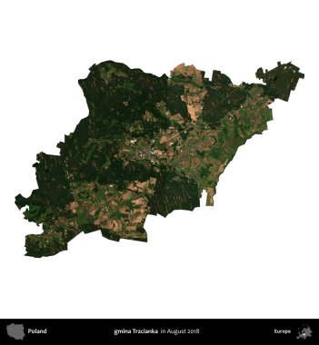gmina Trzcianka. Polonya idari bölgesi, Ağustos 2018 'de çekilen Kopernik Nöbetçi karolarından oluşan bir uydu görüntüsü üzerinde beyaza izole edildi.