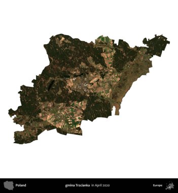 gmina Trzcianka. Polonya idari bölgesi, Nisan 2020 'de çekilen Kopernik Nöbetçi karolarından oluşan bir uydu görüntüsü üzerinde beyaza izole edildi.