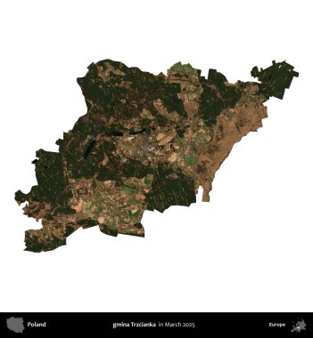 gmina Trzcianka. Polonya idari bölgesi, Mart 2025 'te çekilen Kopernik Nöbetçi karolarından oluşan bir uydu görüntüsü üzerinde beyaza izole edildi.