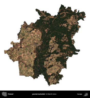 powiat tucholski. Polonya idari bölgesi, Mart 2022 'de çekilen Kopernik Nöbetçi karolarından oluşan bir uydu görüntüsü üzerinde beyaza izole edildi.
