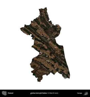 gmina Ustrzyki Dolne. Polonya idari bölgesi, Mart 2025 'te çekilen Kopernik Nöbetçi karolarından oluşan bir uydu görüntüsü üzerinde beyaza izole edildi.