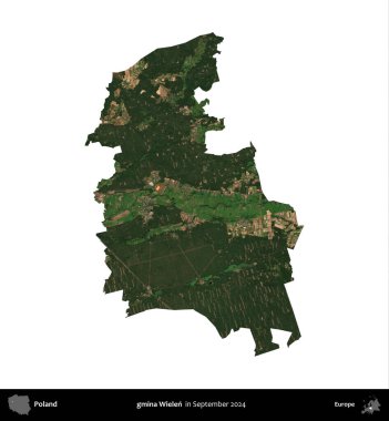 gmina Wielen. Polonya idari bölgesi, Eylül 2024 'te çekilen Kopernik Nöbetçi karolarından oluşan bir uydu görüntüsü üzerinde beyaza izole edildi.