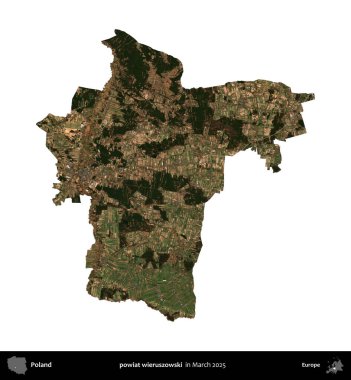 powiat wieruszowski. Polonya idari bölgesi, Mart 2025 'te çekilen Kopernik Nöbetçi karolarından oluşan bir uydu görüntüsü üzerinde beyaza izole edildi.