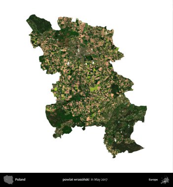powiat wrzesinski. Polonya idari bölgesi, Mayıs 2017 'de çekilen Kopernik Nöbetçi karolarından oluşan bir uydu görüntüsü üzerinde beyaza izole edildi.