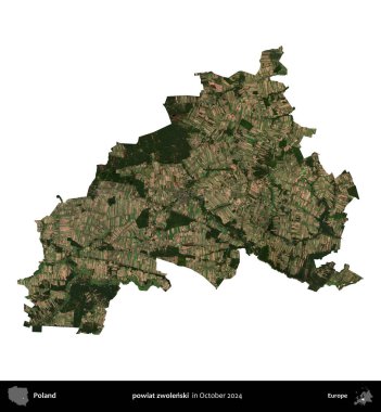powiat zwolenski. Polonya idari bölgesi, Ekim 2024 'te çekilen Kopernik Nöbetçi karolarından oluşan bir uydu görüntüsü üzerinde beyaza izole edildi.