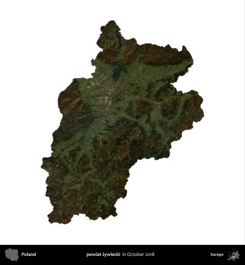 powiat zywiecki. Polonya idari bölgesi, Ekim 2018 'de çekilen Kopernik Nöbetçi karolarından oluşan bir uydu görüntüsü üzerinde beyaza izole edildi.