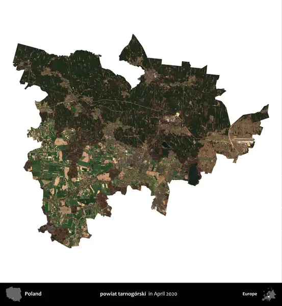 powiat tarnogorski. Polonya idari bölgesi, Nisan 2020 'de çekilen Kopernik Nöbetçi karolarından oluşan bir uydu görüntüsü üzerinde beyaza izole edildi.