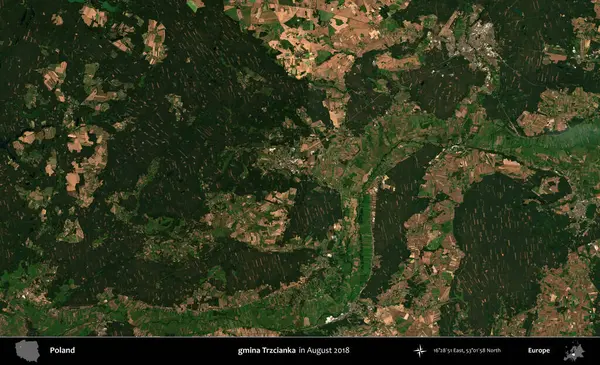gmina Trzcianka. Copernicus Sentinel 'in Ağustos 2018' de çekilmiş uydu görüntüsü üzerine Polonya 'nın idari bölgesi